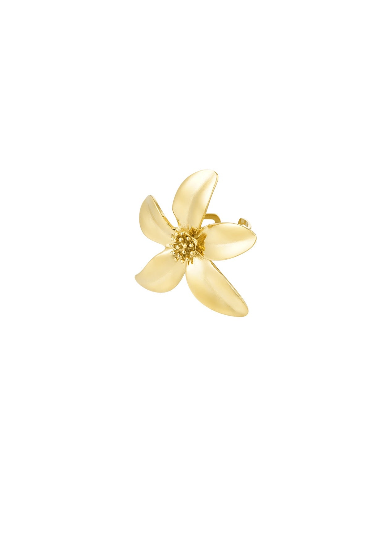 Ring Magnolia