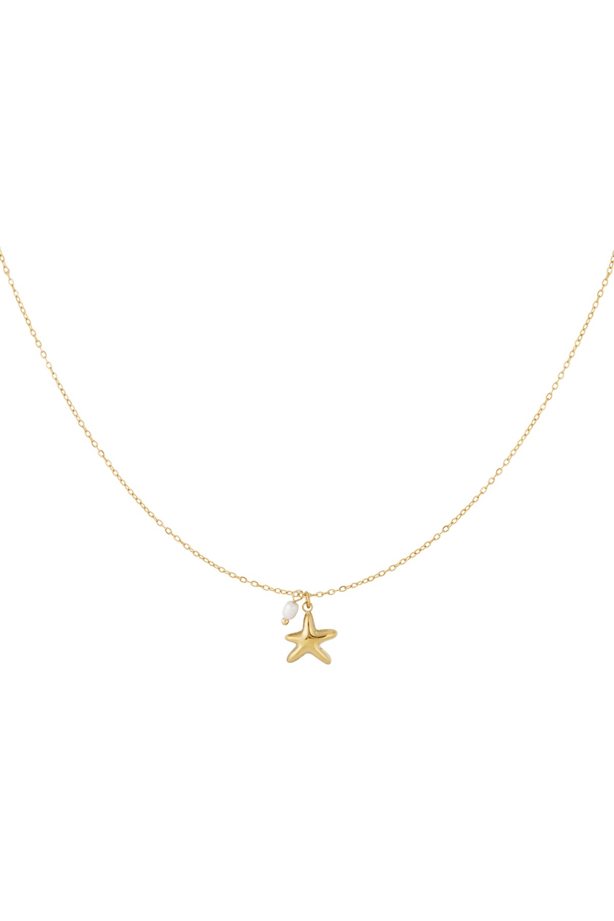 Kette Seastar