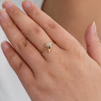 Ring Dolphin