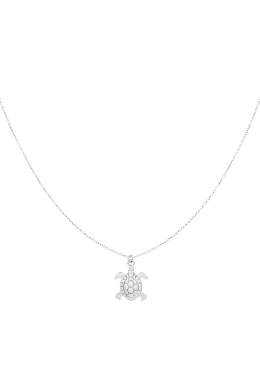 Kette Turtle