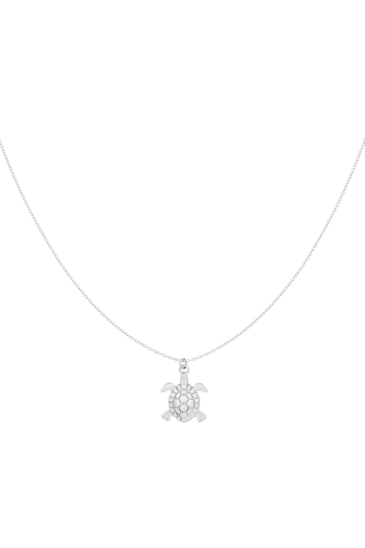 Kette Turtle