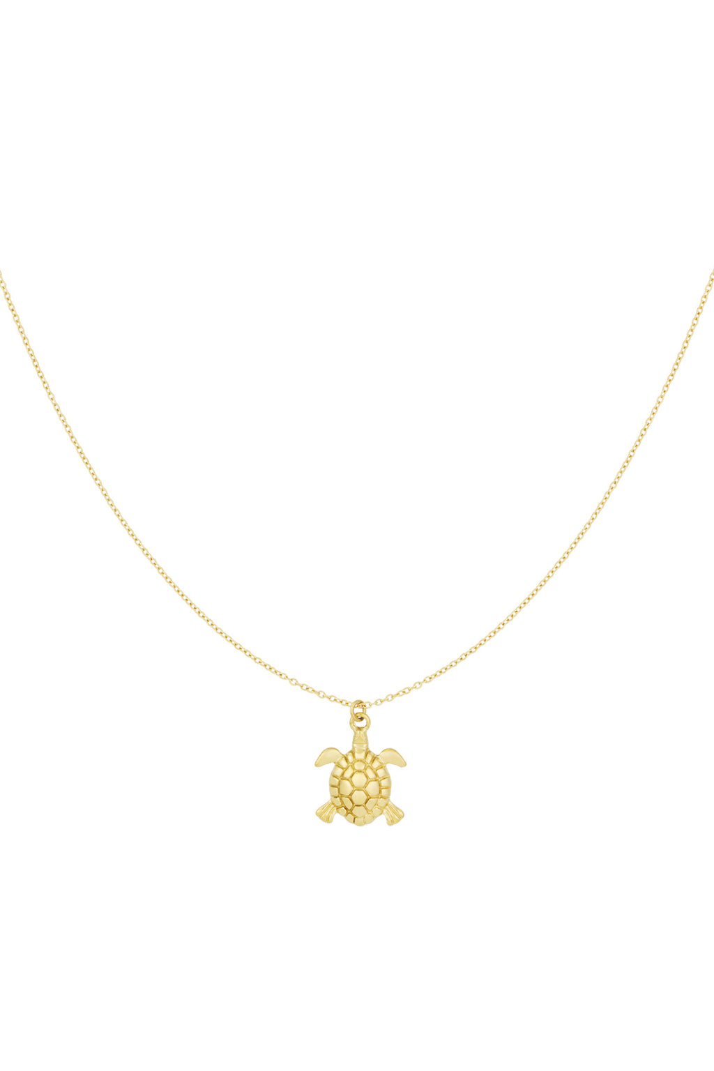 Kette Turtle