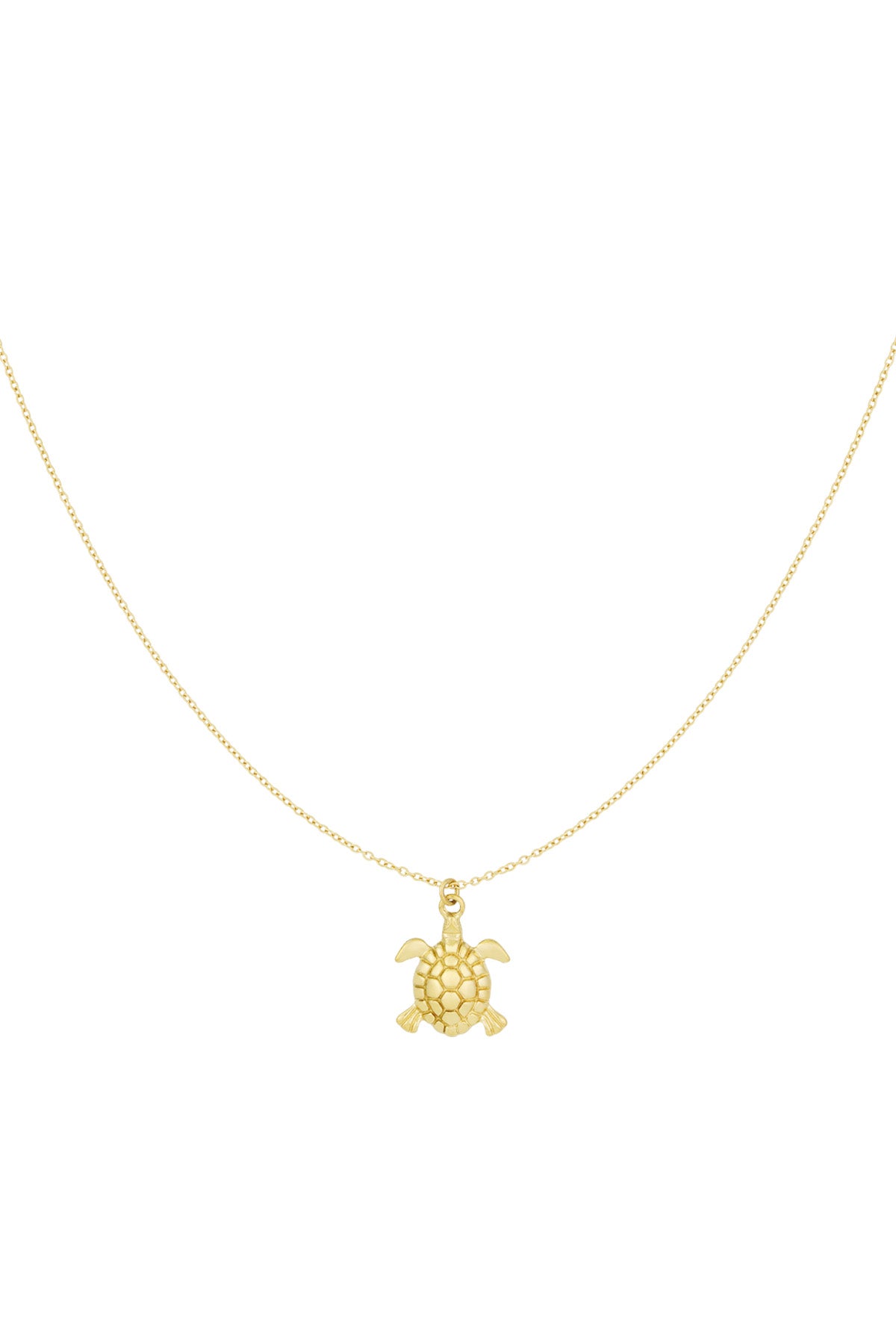 Kette Turtle