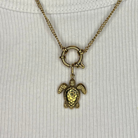 Charm Turtle
