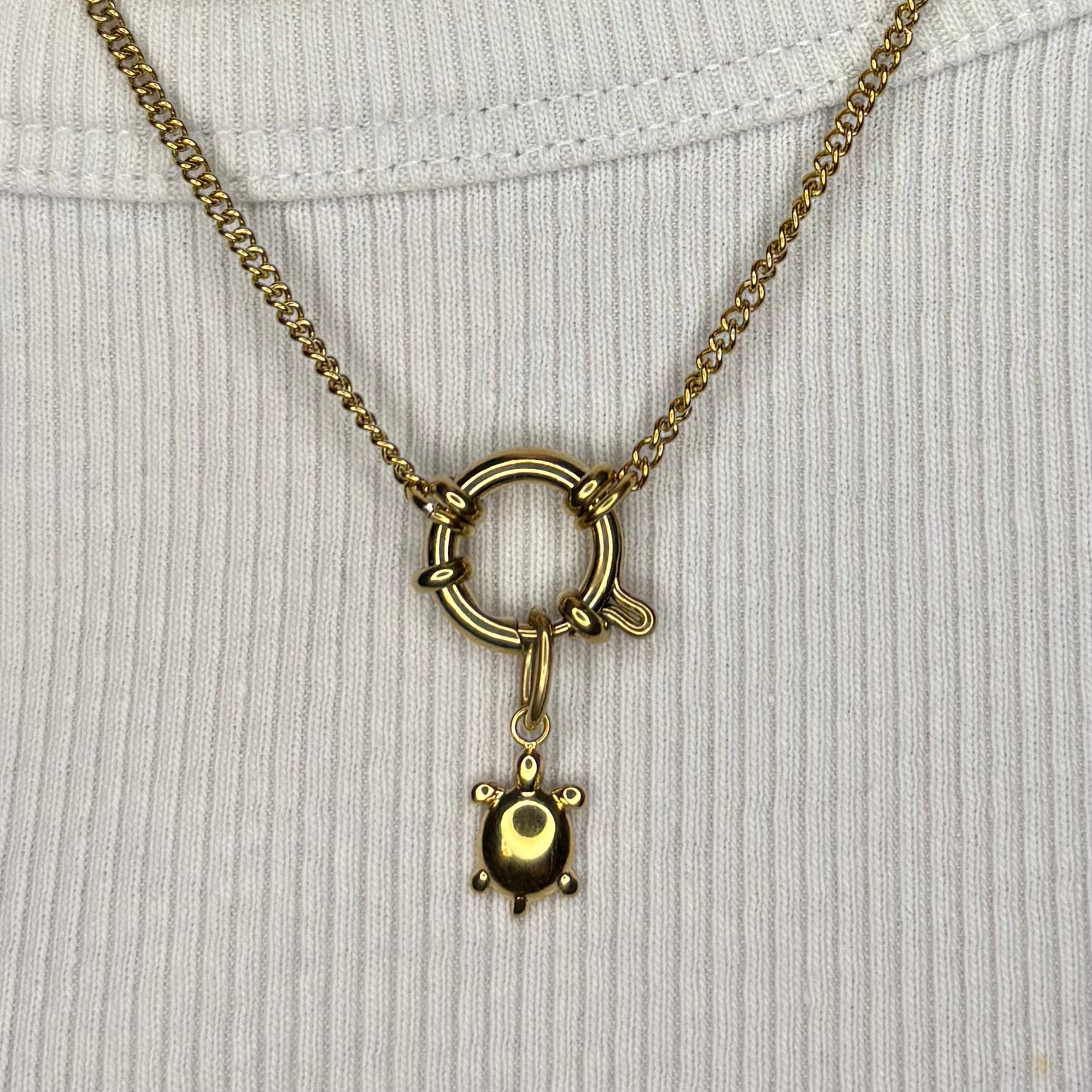 Charm Mini Turtle