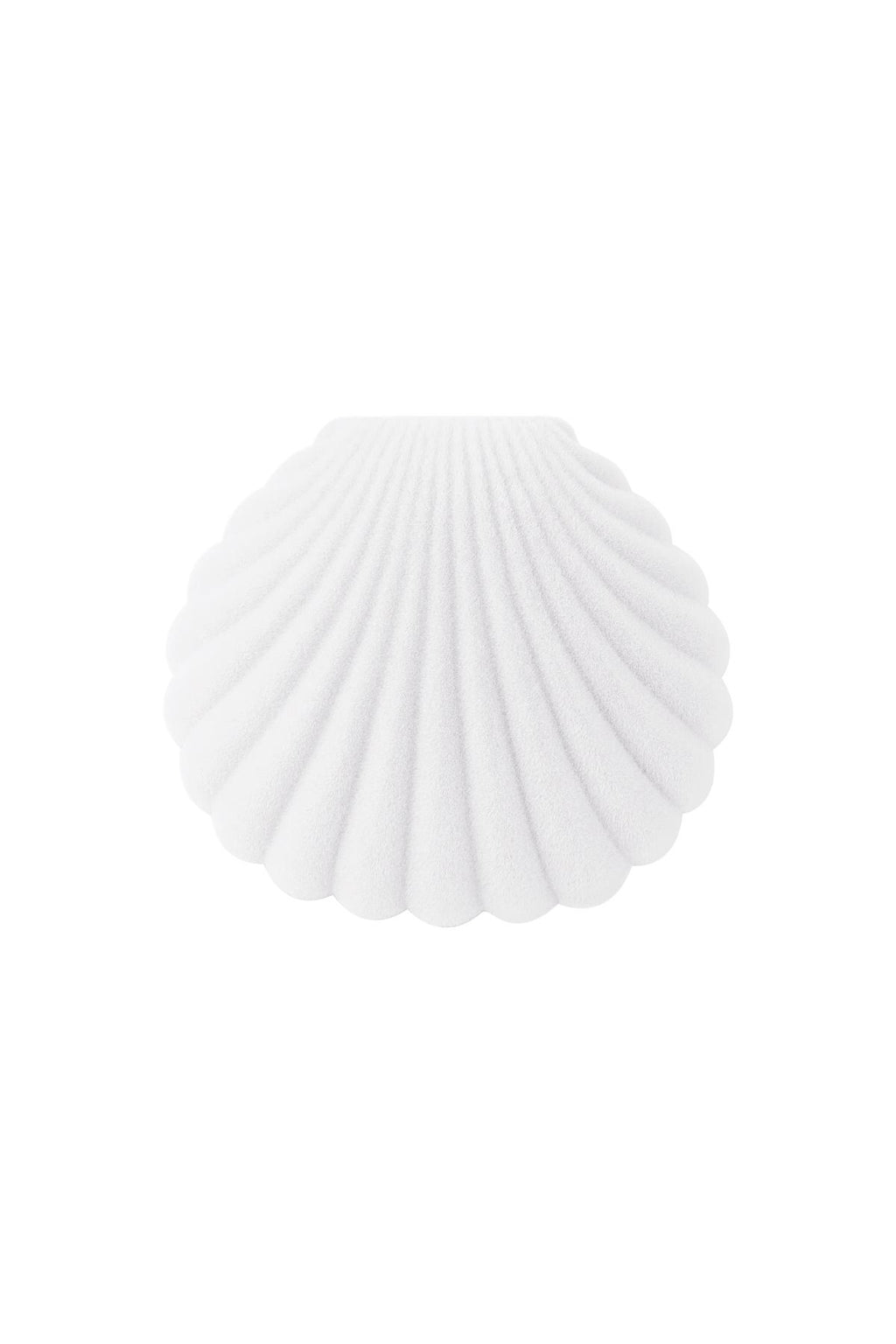 Schmuckkästchen Shell