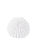 Schmuckkästchen Shell