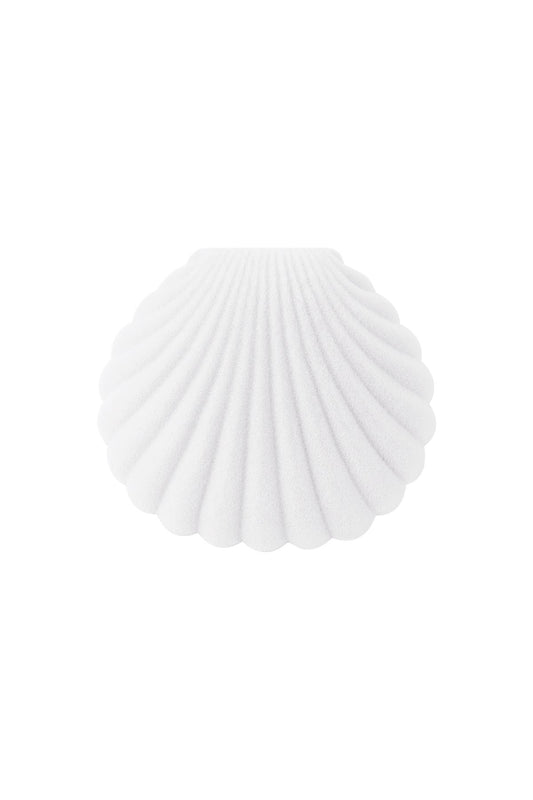 Schmuckkästchen Shell🐚