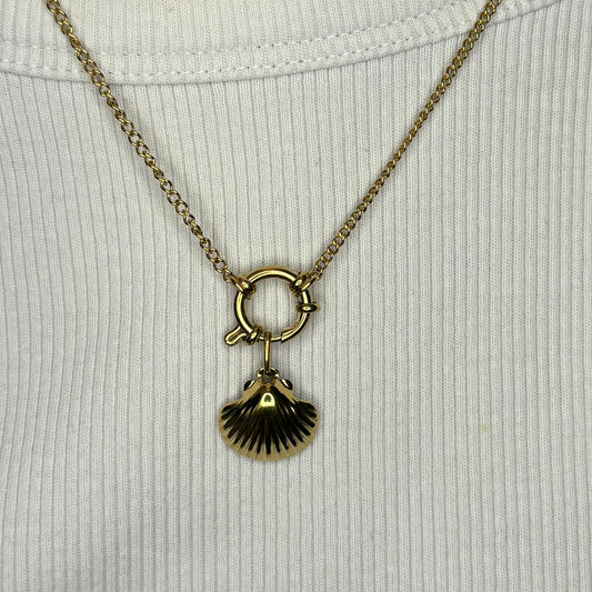 Charm Shell