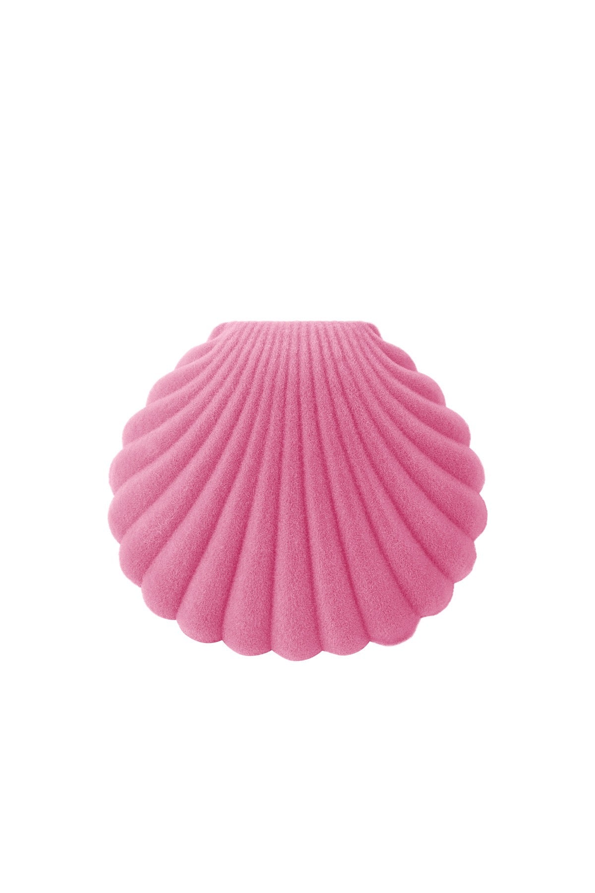 Schmuckkästchen Shell