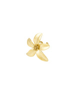 Ring Magnolia
