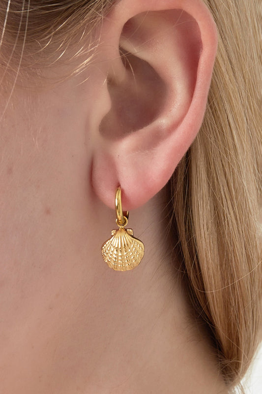 Ohrringe Shell