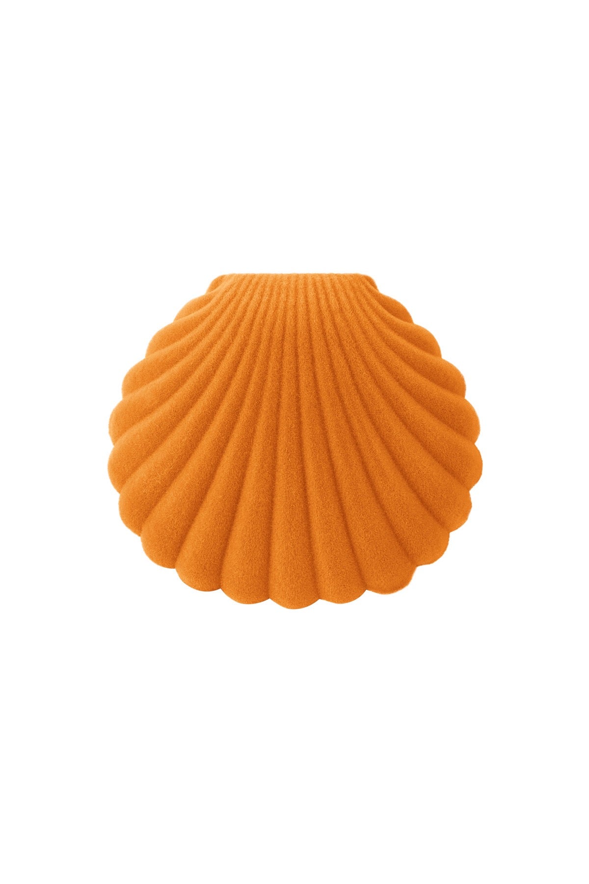 Schmuckkästchen Shell