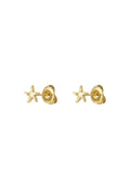 Ohrstecker Seastar