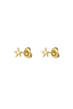Ohrstecker Seastar
