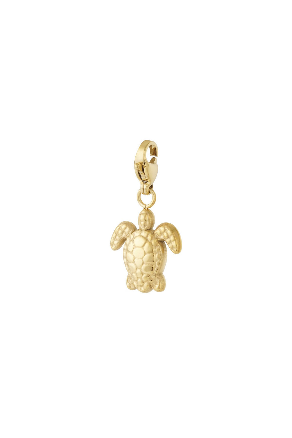Charm Turtle (Clip)