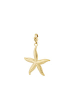 Charm Big Seastar (Clip)