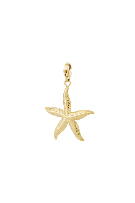 Charm Big Seastar (Clip)