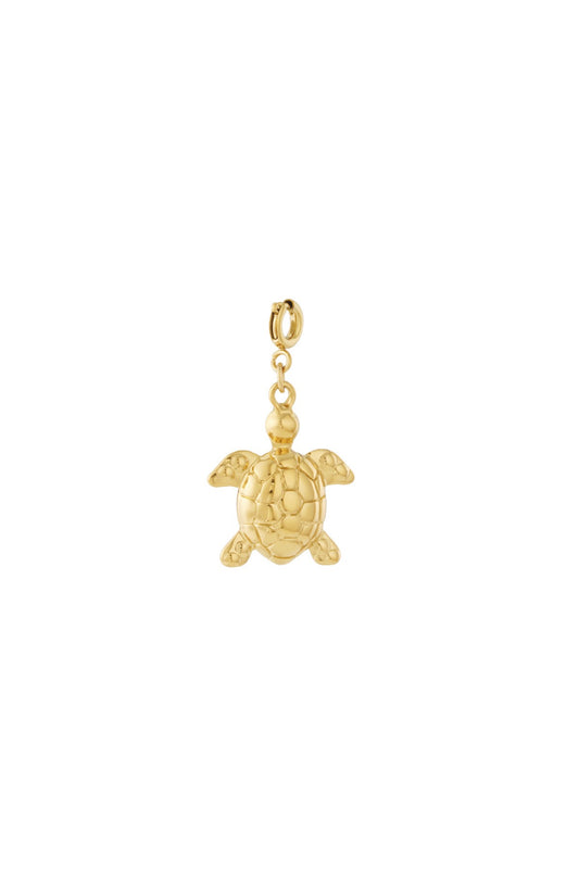 Charm Turtle (Clip)
