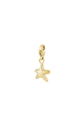 Charm Puffy Starfish (Clip)