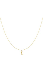 Kette Seahorse