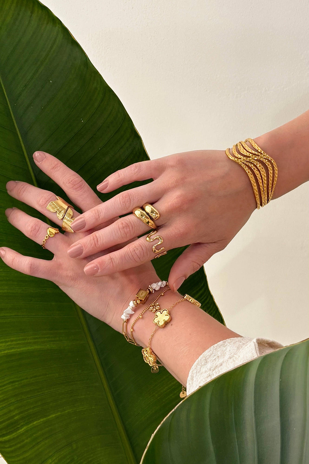 Ring Lina