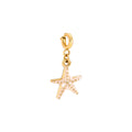Charm Seastar Creme (Clip)